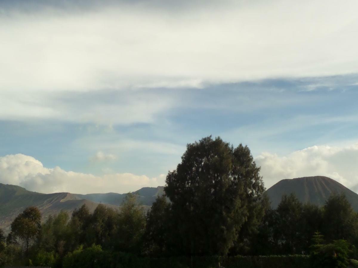 מלון Bromo Permai 1 מראה חיצוני תמונה