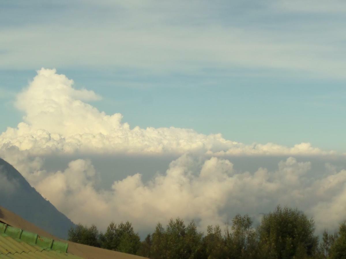 מלון Bromo Permai 1 מראה חיצוני תמונה
